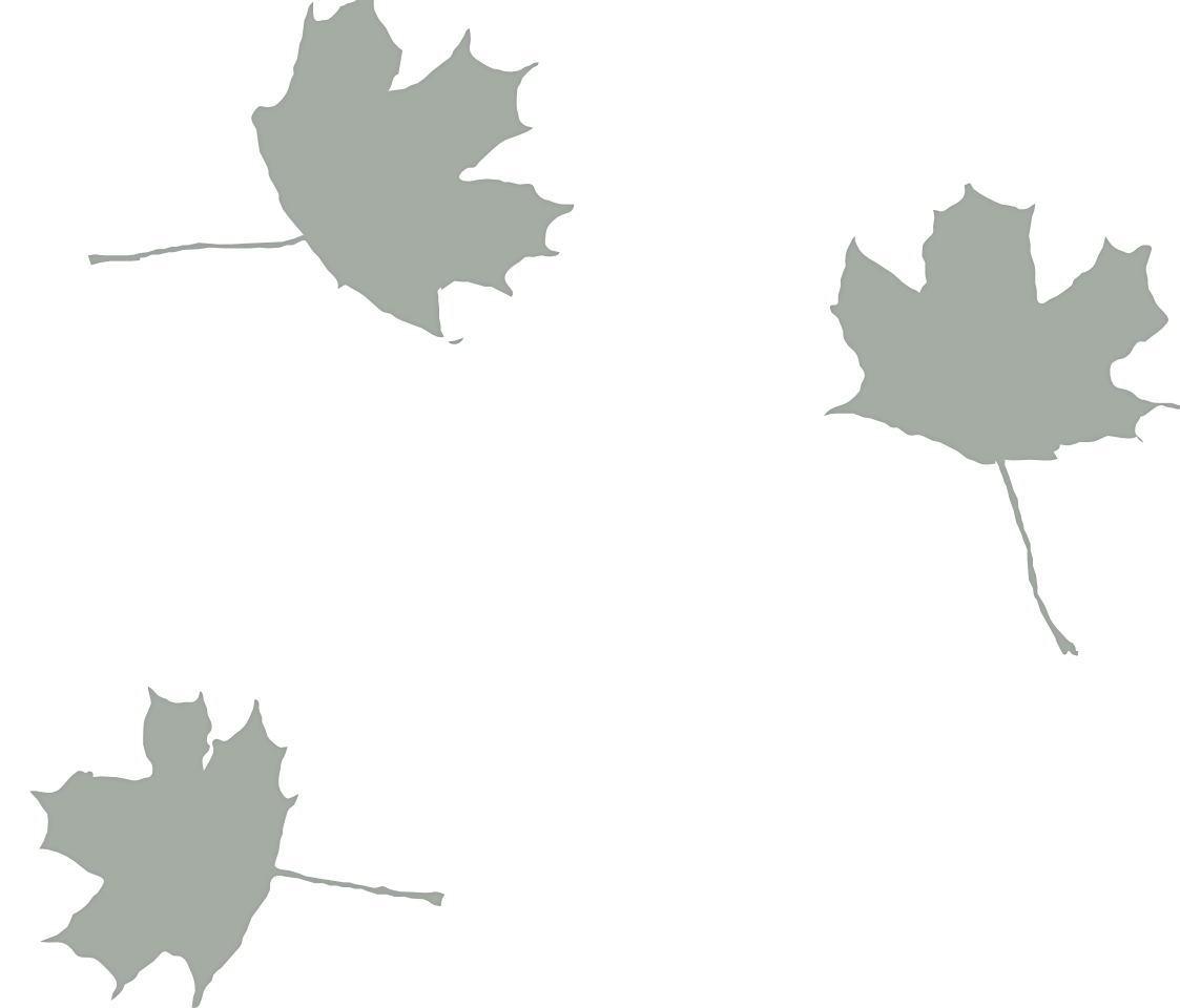 Autumn leaves Background